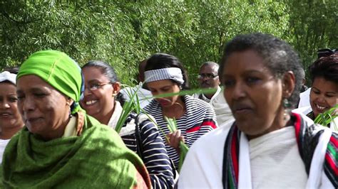 Das Oromo Museum: Ein Fenster zur Kultur und Geschichte der Oromo-Menschen!