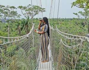  Der Lekki Conservation Centre: Ein grünes Paradies für Vogelbeobachter und Abenteurer!